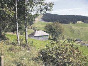 Heideggeri mägimaja Todtnaubergis.